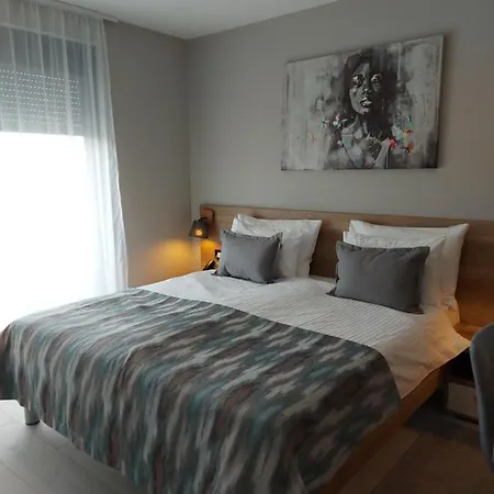 Apartman Slap Vrdnik