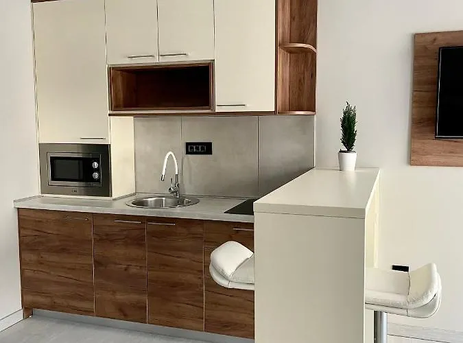 Slap 브르드니크